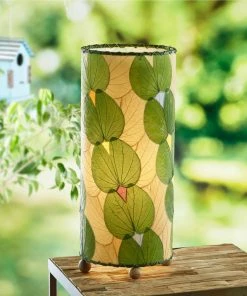 Top 10 ๐ Eangee Outdoor Indoor Butterfly Lamp Green โ 13 Top 10 ๐ Eangee Outdoor Indoor Butterfly Lamp Green โ -Kichler Sales Store 2f51540c02faa32e 3486 w800 h800 b0 p0