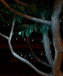 Promo 🔥 Outdoor Solar String Lights- Globe Lighting W Cool White Lights By Pure Garden ⌛ -Kichler Sales Store 60515b850bda18b0 9831 w800 h800 b0 p0