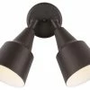 Promo ✨ Generation Lighting 2-Light Adjustable Swivel Flood Light, Antique Bronze 👏 -Kichler Sales Store home design 177