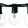Promo ⭐ Hometown Evolution Inc G40LED50 50 Foot LED Party String Light - Clear / Green ❤️ -Kichler Sales Store home design 248