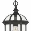 Brand new 💯 Savoy House Kensington 1-Light Outdoor Hanging Lantern, Textured Black ⌛